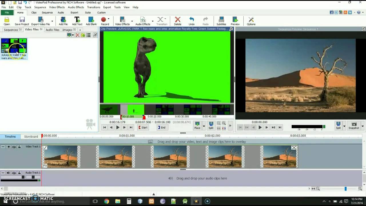 software for green screen photos